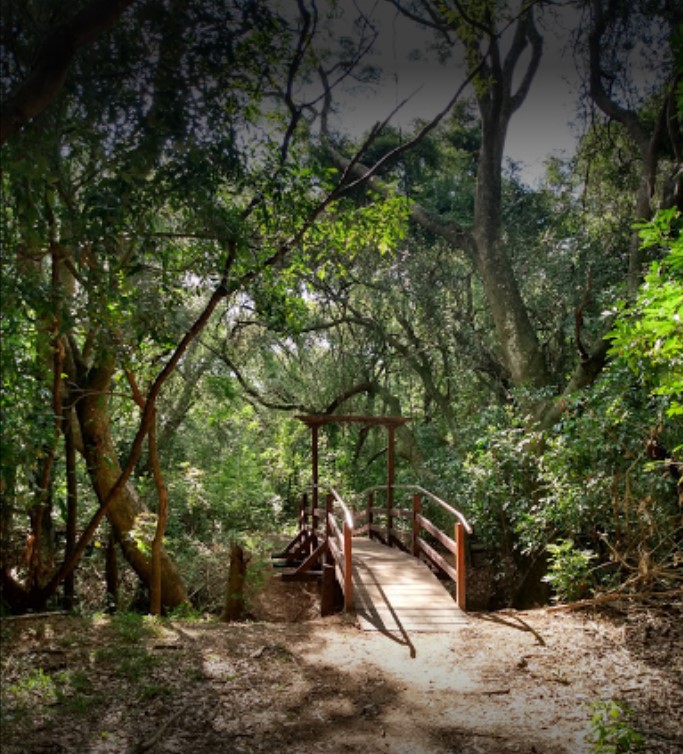 Parque nacional Mburucuyá