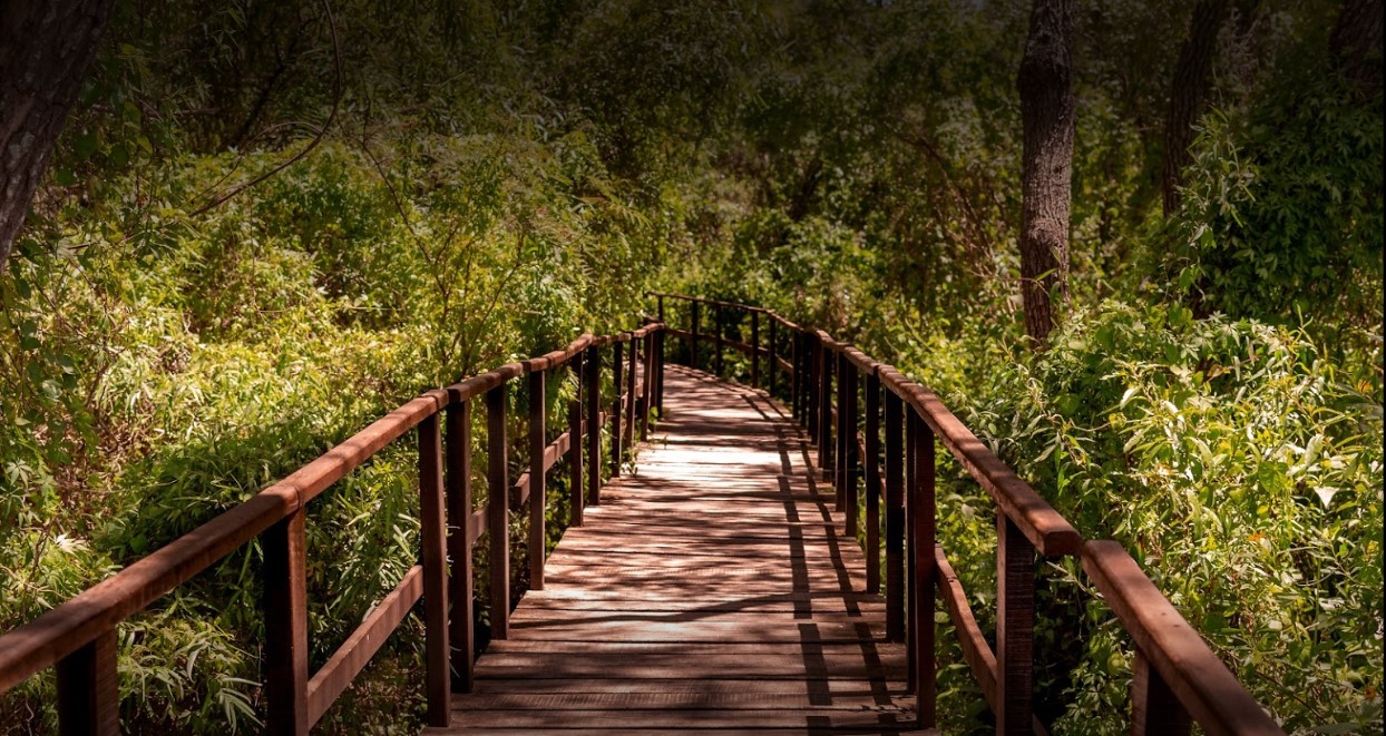 Parque Nacional Pre-Delta
              