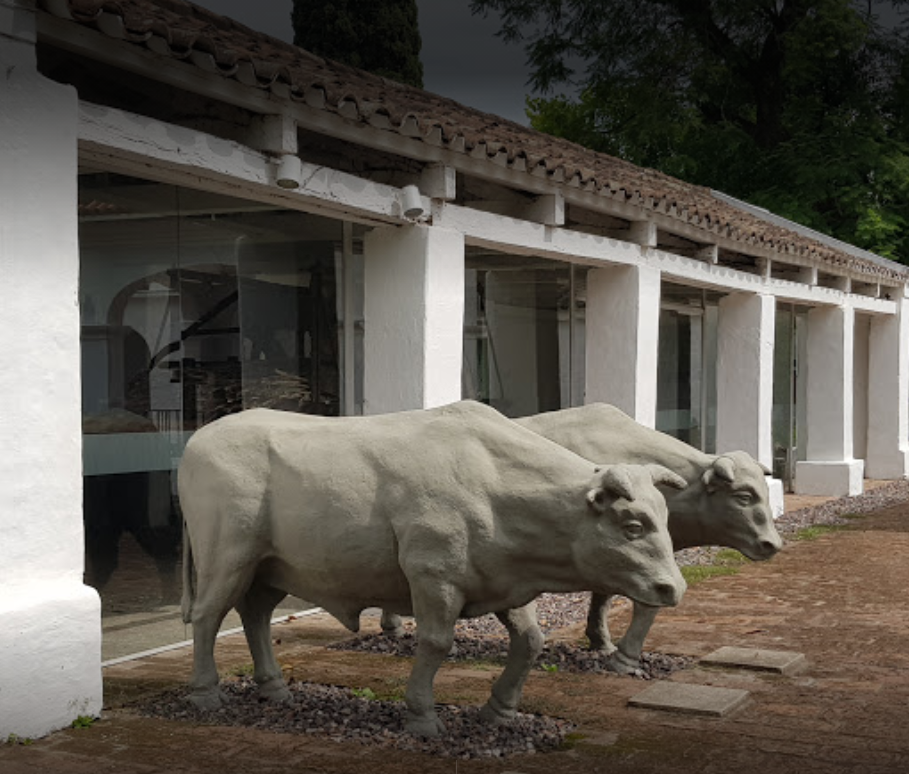 Museo de la Industria Azucarera
              